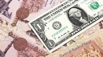 تراجع جديد.. سعر الدولار أمام الجنيه المصري في ختام تعاملات البنوك اليوم